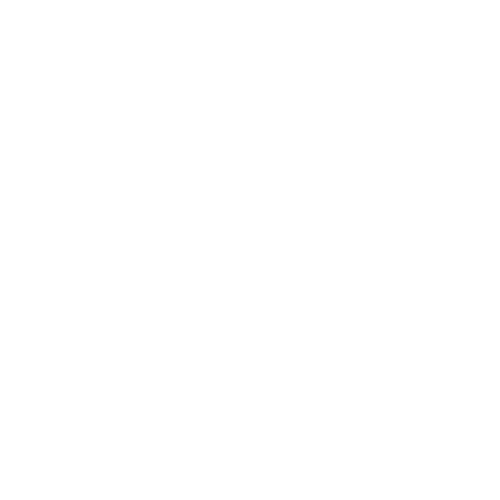 The Millstad Center