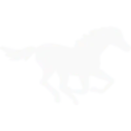 Evolved Catering Partner